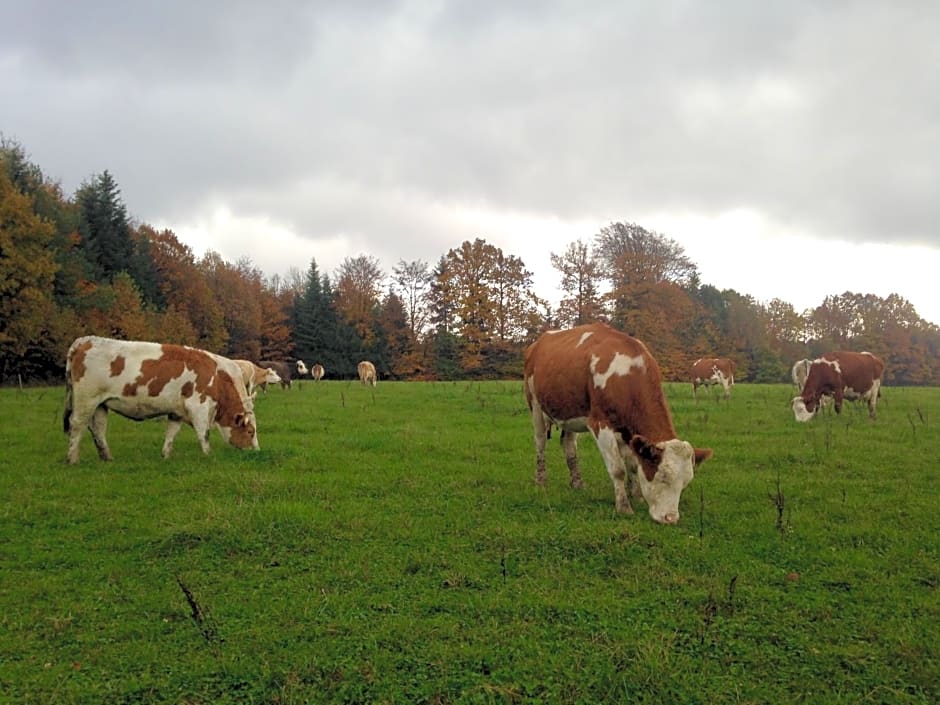 Les Chambres d'hotes de Laurette