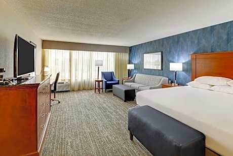 Deluxe King Room with Sofa Bed