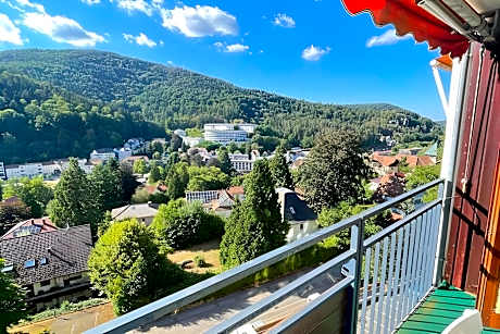 Well-kept flat in Bad Herrenalb with indoor pool