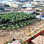 La Aldea Suites