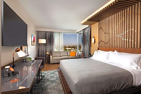 1 King Bed Junior Suite W/Sofabed