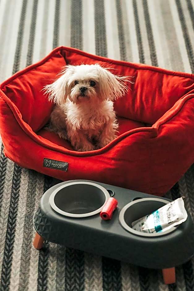 Hotel Bacówka Radawa & SPA