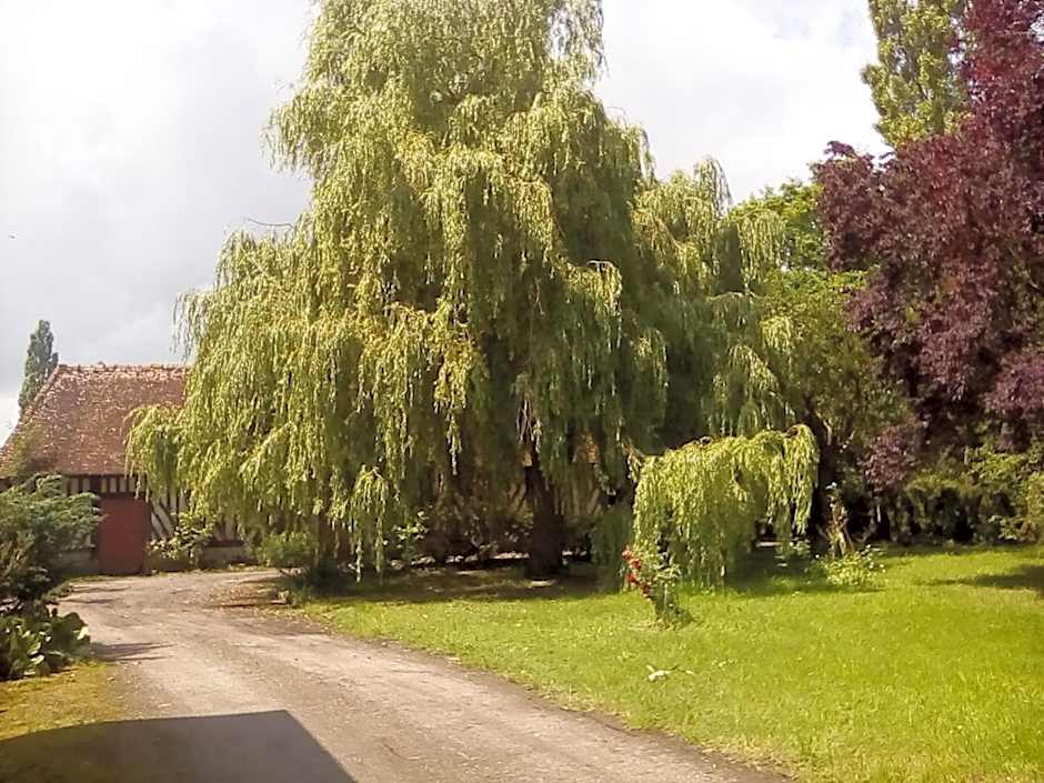 La Ferme Des Vignes