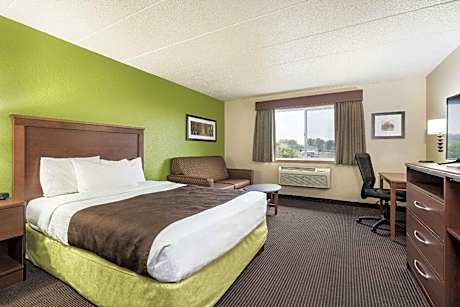 1 Queen Bed Deluxe Room Non-Smoking
