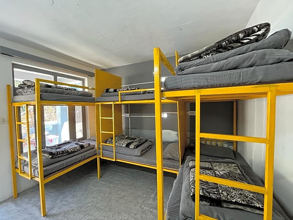 Young Monk Hostel & Cafe Manali