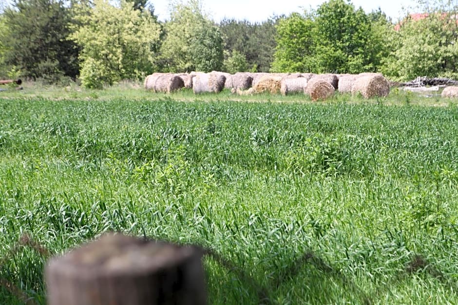 Dom imprezowy z noclegami Dziecinów