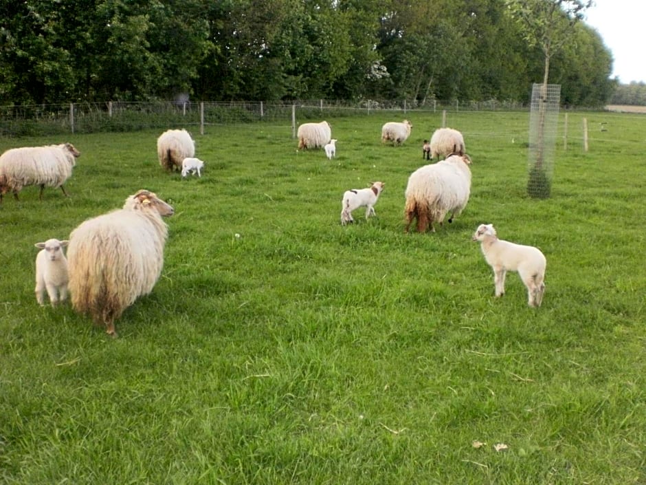 Boerderijkamer Korenbloem