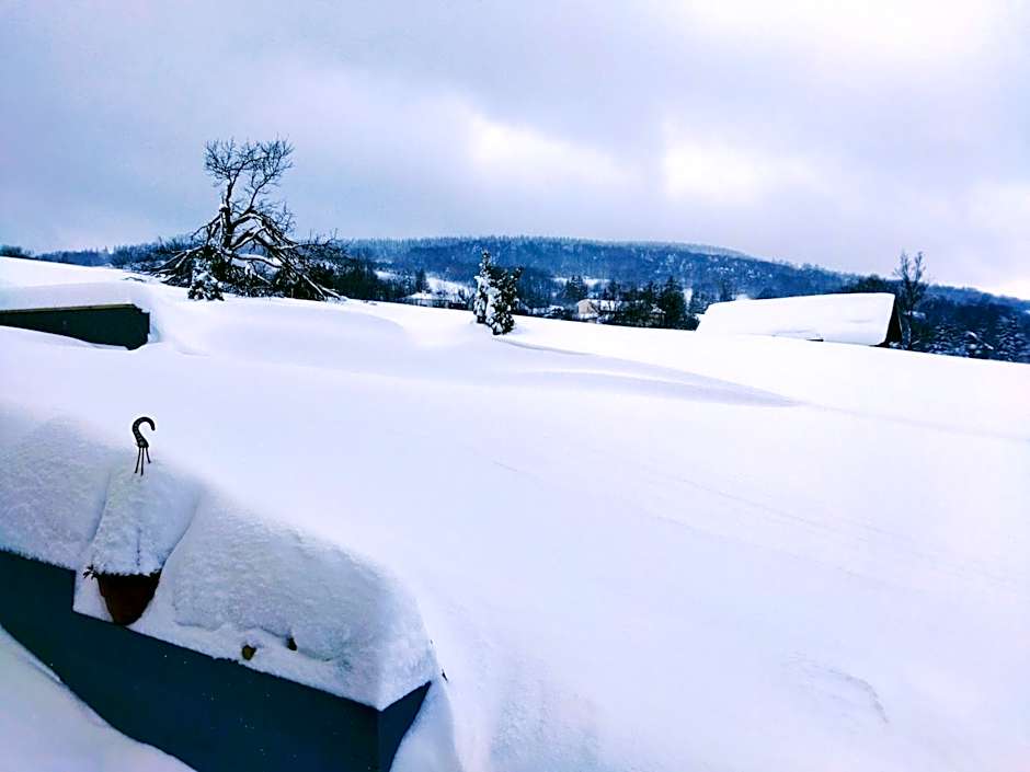 Pokoje goscinne u Olguni
