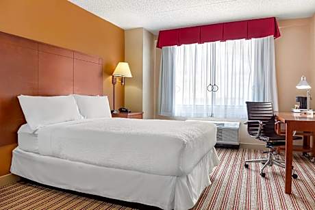 Queen Room - Disability Access/Non Smoking
