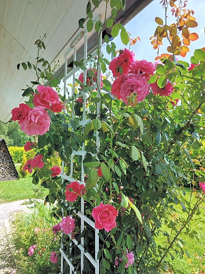 Osada Leonówka Bieszczady