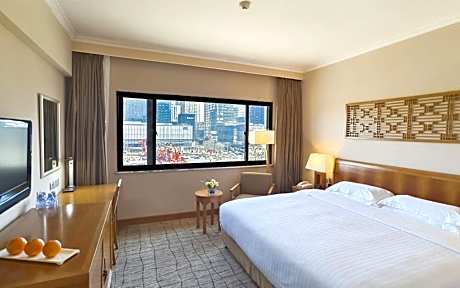 Deluxe King Room with City Wall View