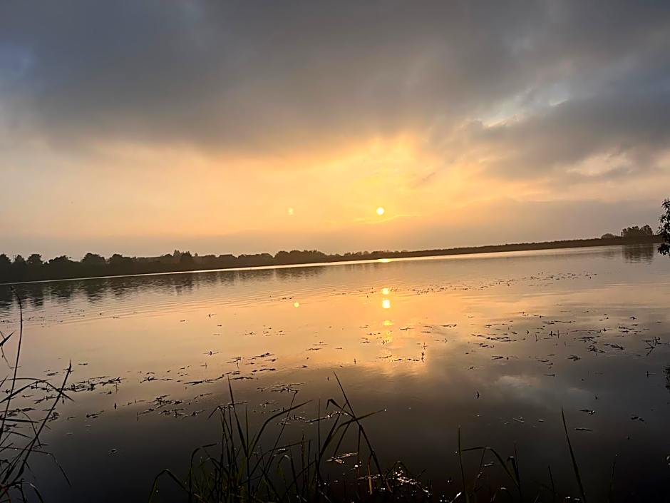 The Dog and Partridge