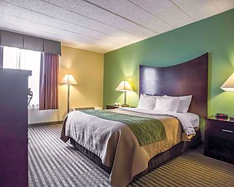 1 King Bed Suite Nonsmoking