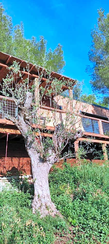 Villa Occitana