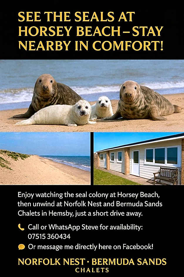 Norfolk Nest 2 bedroom chalet new media wall