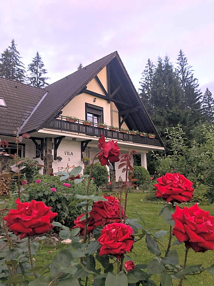 Complex Vile- Milana M Residence