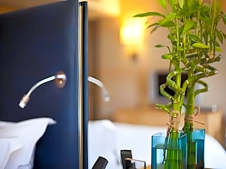 Deluxe Double / Twin