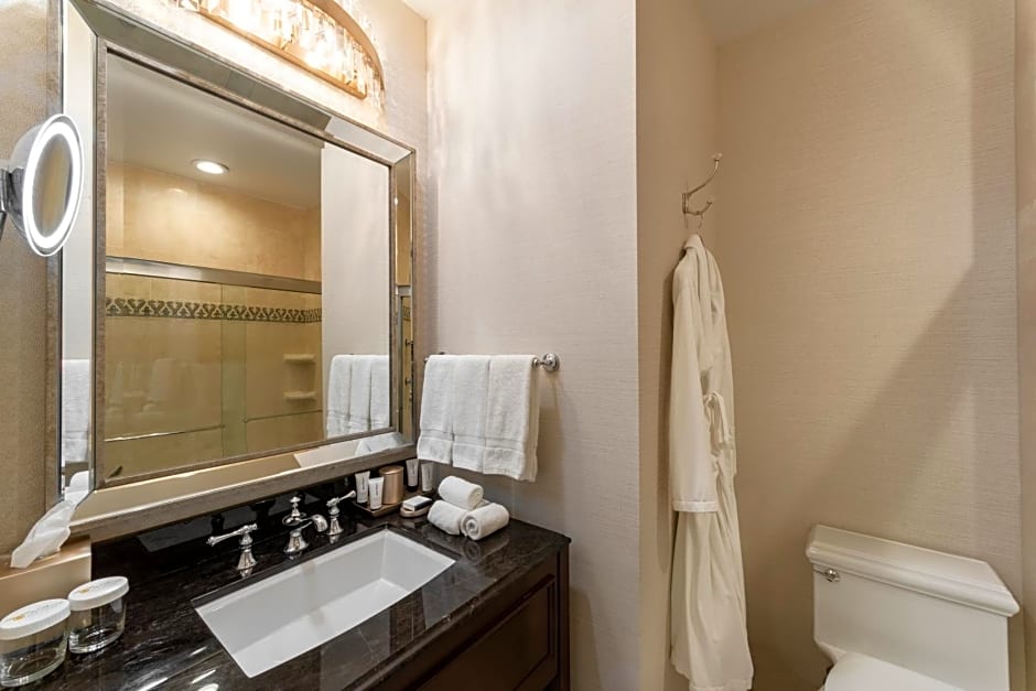 The Roosevelt Hotel New Orleans - Waldorf Astoria Hotels & Resorts
