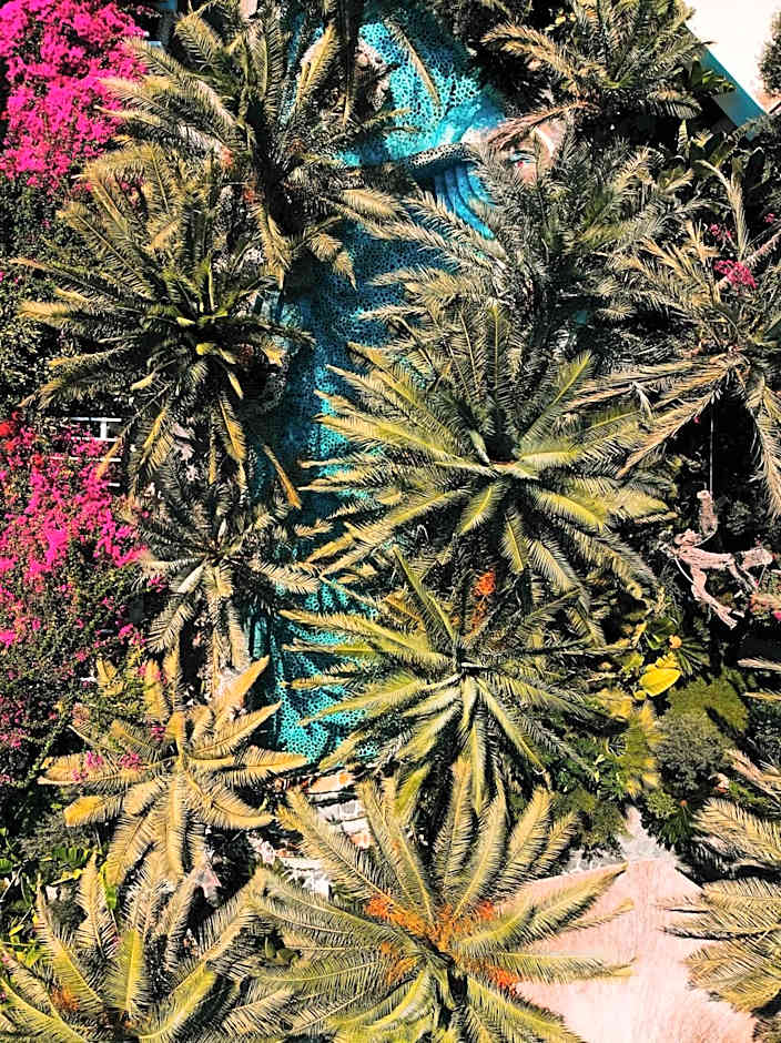 Flamingo Hotel & Spa - Pet Friendly