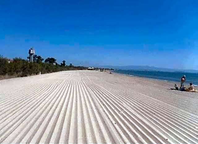 Sole D'oro IUN S4354