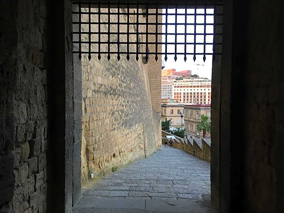 International Naples