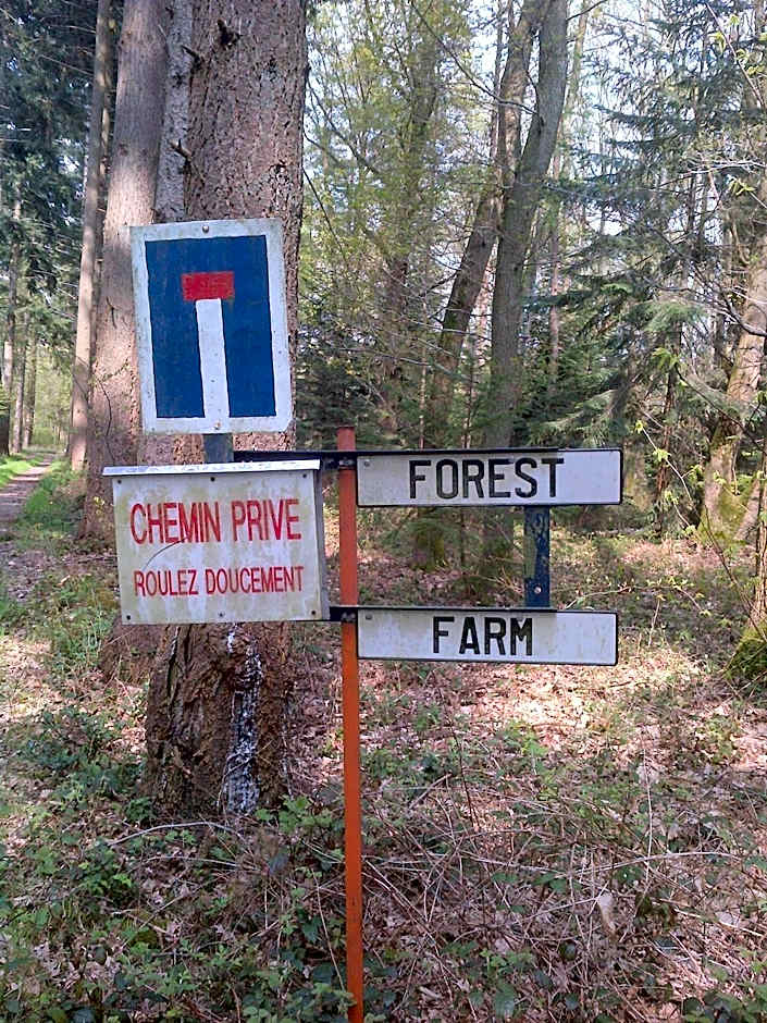 Forest Farm
