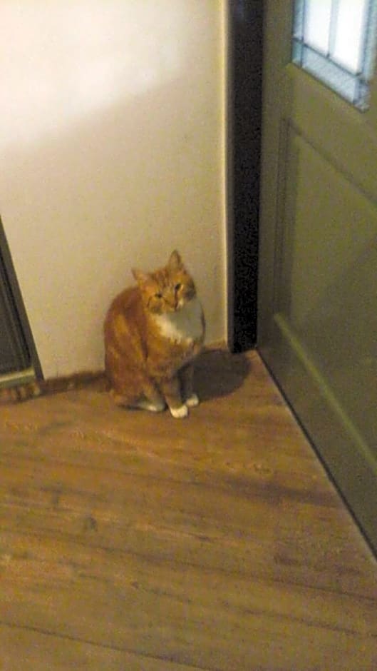 Bed and breakfast devijfbees