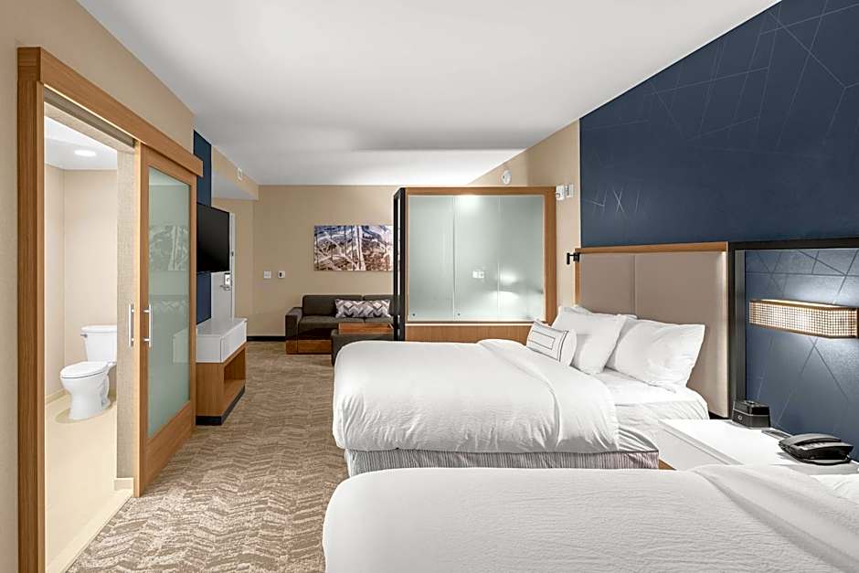 SpringHill Suites by Marriott Jackson
