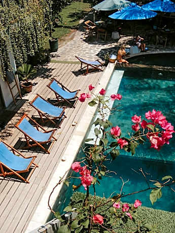 Tipsea Turtle Gili Air