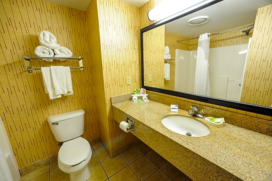Holiday Inn Express Hotel & Suites Bowling Green By IHG