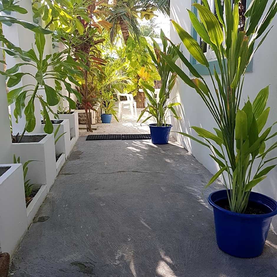 Vaali Maldives Island Escapes & Dive