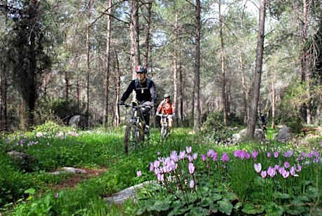 Charming modern country unit for rent