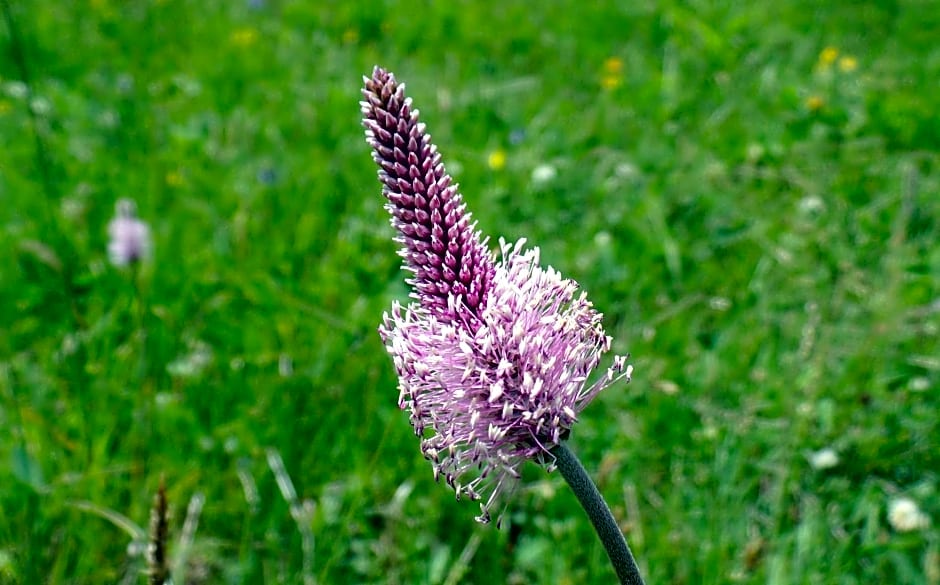 Le Temps d'une Pause