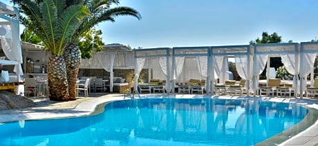 Single (Basement - Without Balcony)