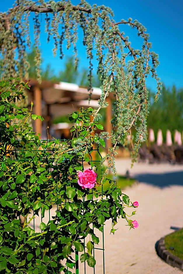 Boutique Complex Trakiets