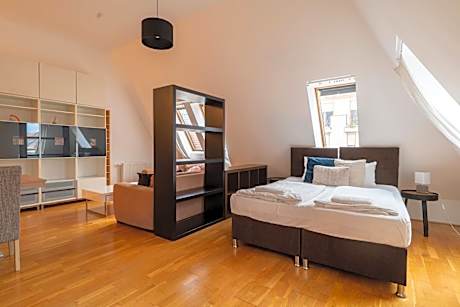 Deluxe One-Bedroom Apartment