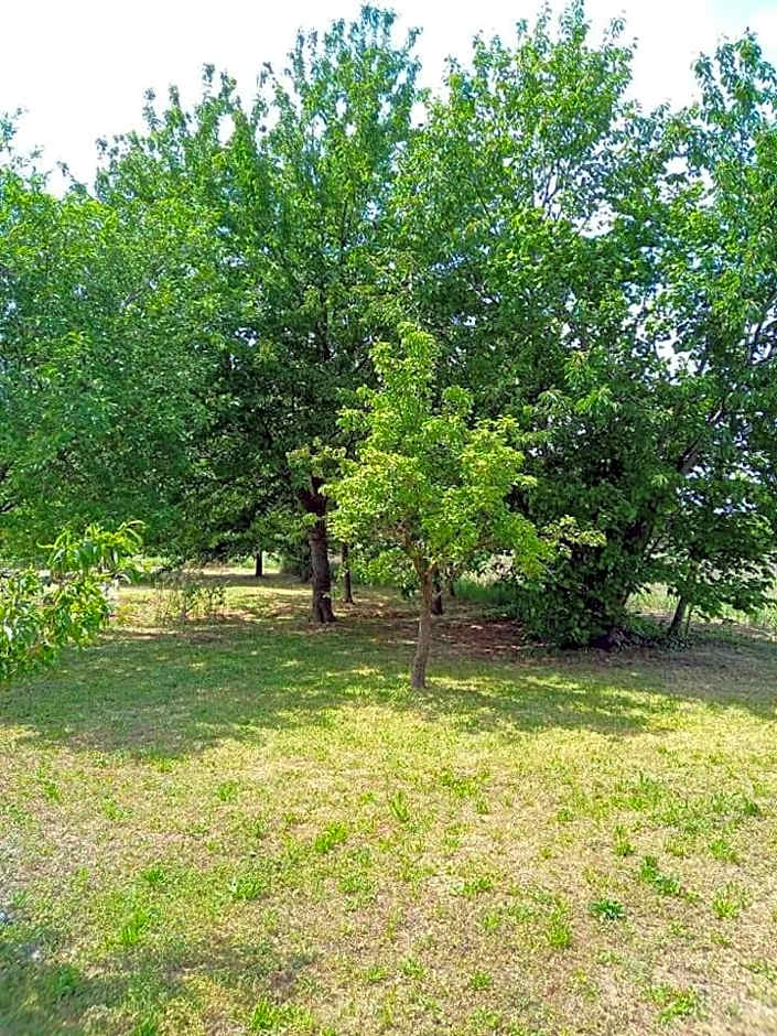 La Cjase di Pieri e Vilme