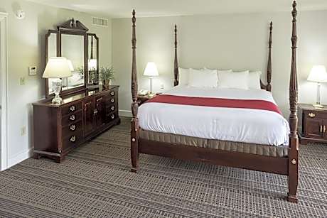 King Room with Sofa Bed