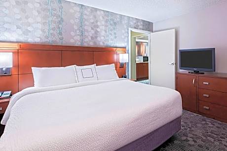 Room, 1 King Bed with Sofa bed (Hearing Accessible) (1 King Bed and 1 Double Sofa Bed)