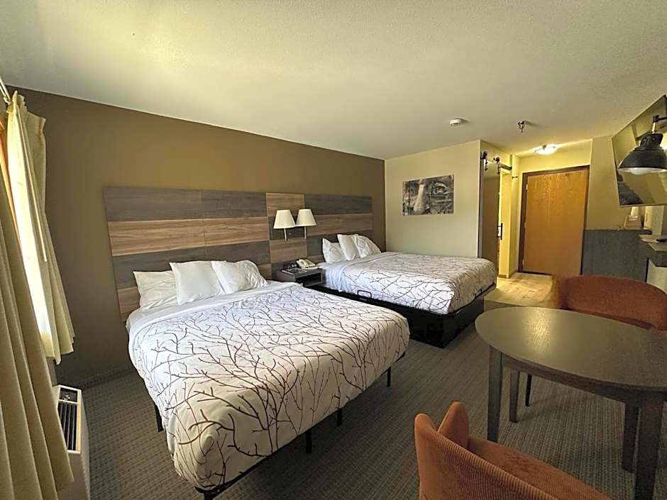 Roosevelt Inn Mount Rushmore