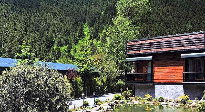 Sezgin Hotel