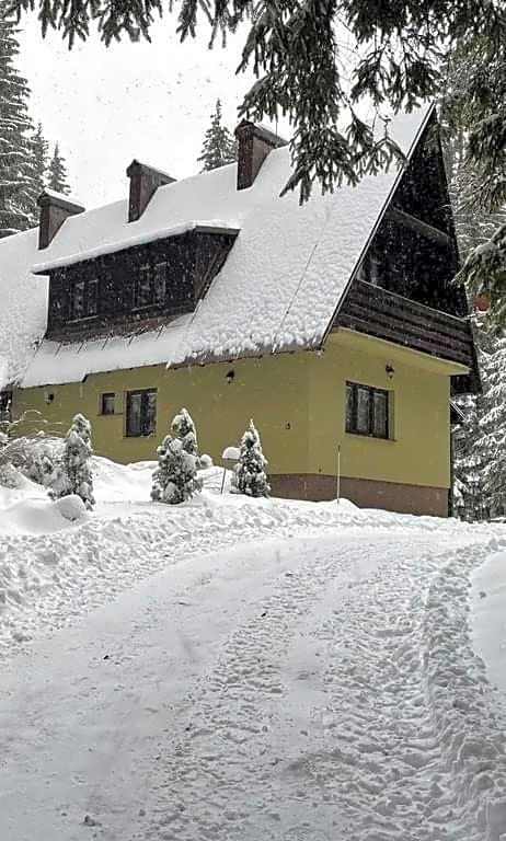 Apartmány Foresta Jasná