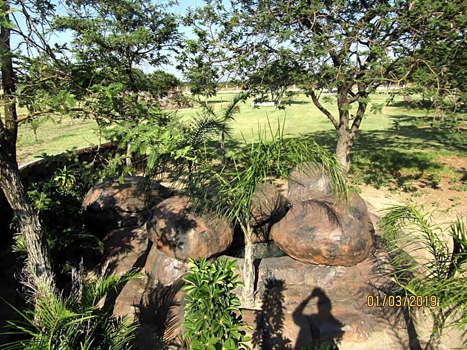 Vido Lodge and Conference Centre