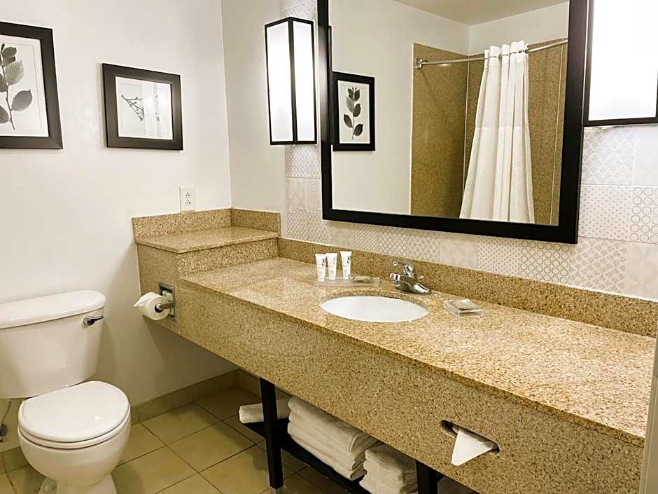 Country Inn & Suites by Radisson, Albany, GA