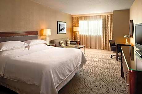 Deluxe King Room with Sofa Bed - Hearing Accessible