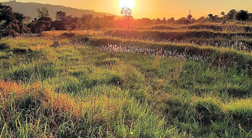 Hotel Seclude Palampur