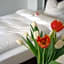 SEEGER Living Comfort Downtown