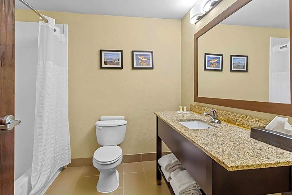 Comfort Suites Lake Jackson Clute