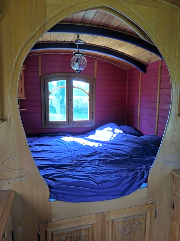 Une roulotte et des chevaux