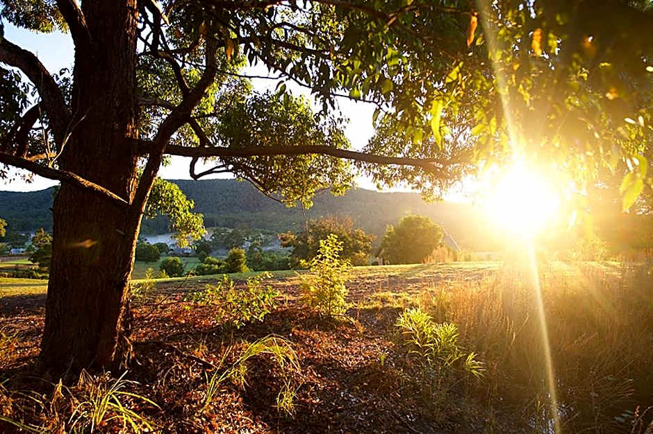 Clarendon Forest Retreat